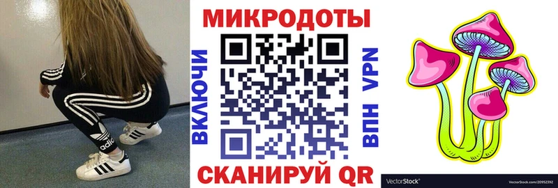 Псилоцибиновые грибы Psilocybe  Кисловодск 